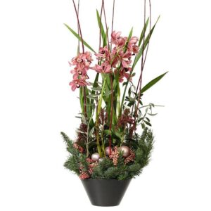 LYXPLANTERING MED ORKIDÉ