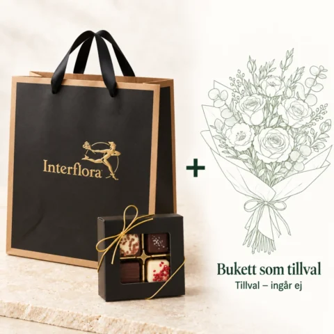 PRESENTKIT LYX
